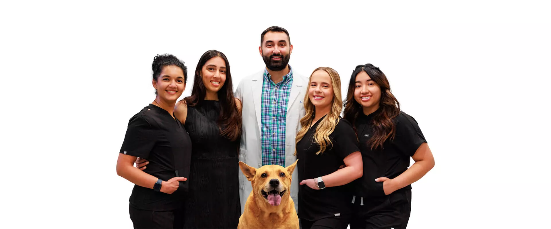 Welcome to Union Hill Dental